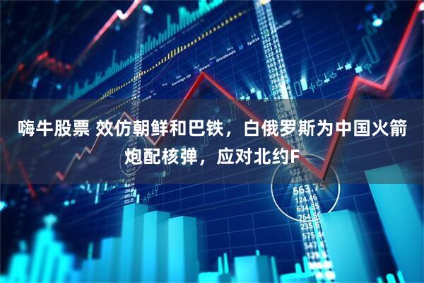 嗨牛股票 效仿朝鲜和巴铁，白俄罗斯为中国火箭炮配核弹，应对北约F