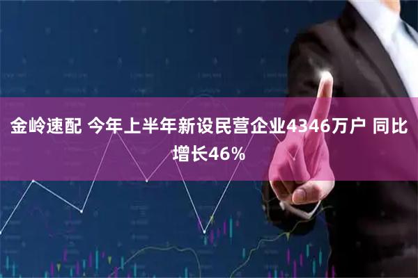 金岭速配 今年上半年新设民营企业4346万户 同比增长46%