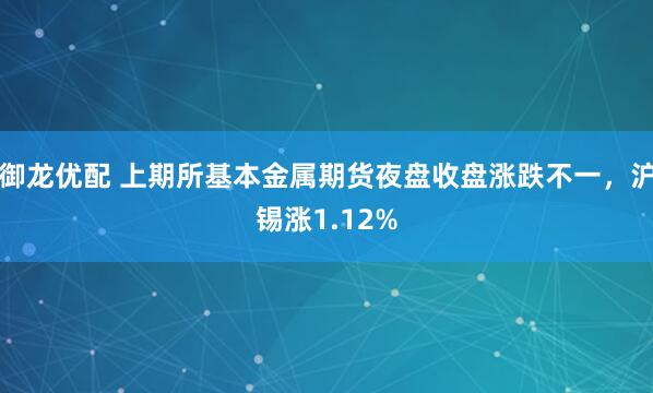 御龙优配 上期所基本金属期货夜盘收盘涨跌不一，沪锡涨1.12%